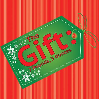 Picture of Gift: 7 Pounds, 3 Ounces cover art.