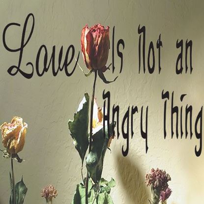 love-is-not-an-angry-thing